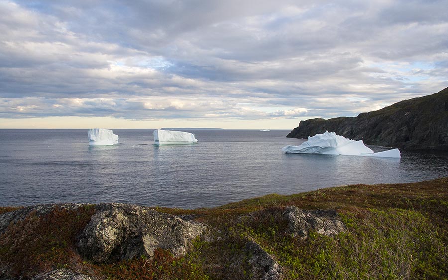 Icebergs off Fishing Point